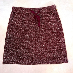 NWT LOFT‎ Skirt